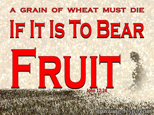 John 12:24 Unless A Grain Of Wheat Dies (red)